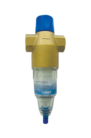 BWT filtr do wody z płukaniem wstecznym Protector BW 1" (810417) 240004463